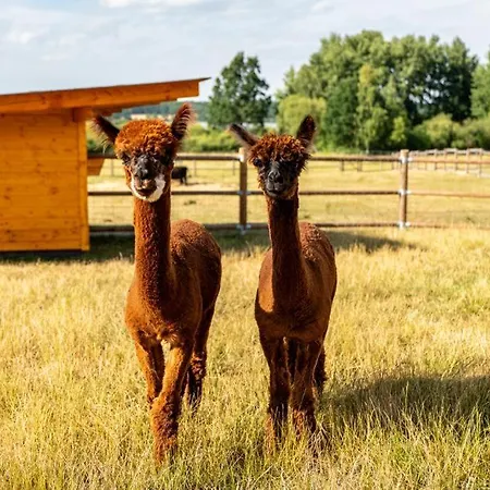 Wellness Zoo Lhota * Lomnice nad Lužnicí