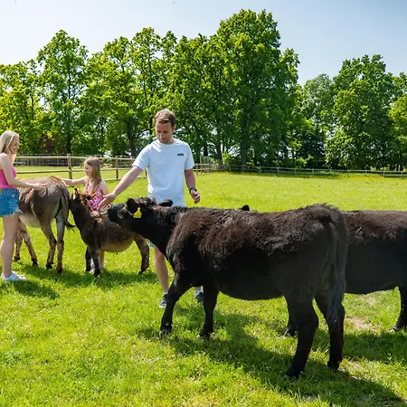 Lägenhet Wellness Zoo Lhota Lomnice nad Lužnicí
