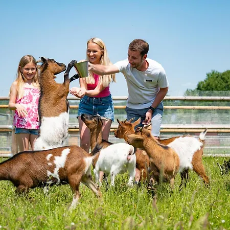 Wellness Zoo Lhota * Lomnice nad Lužnicí