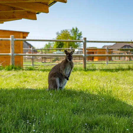 Wellness Zoo Lhota Lomnice nad Lužnicí