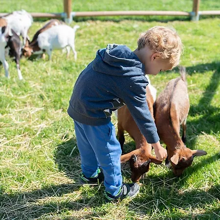 Lägenhet Wellness Zoo Lhota Lomnice nad Lužnicí