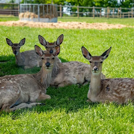 Lägenhet Wellness Zoo Lhota *